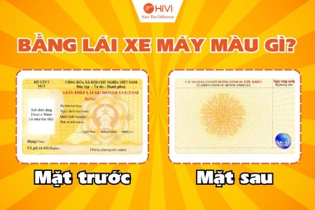 Bằng lái xe máy màu gì? Thông tin chi tiết về GPLX máy