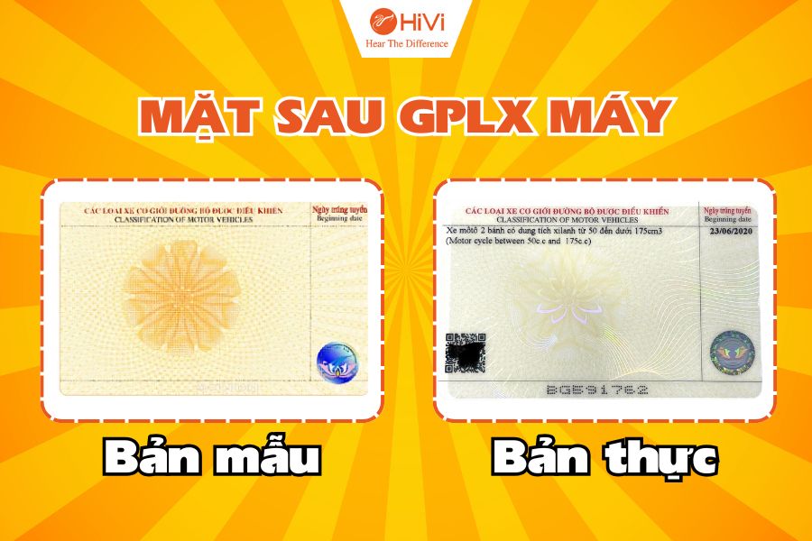 Mặt sau bằng lái xe máy màu gì? Có thông tin gì?