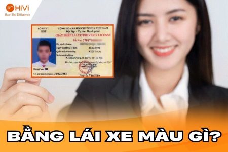 Bằng lái xe màu gì? Tìm hiểu quy định về giấy phép lái xe năm 2025