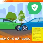 Bảo hiểm ô tô bắt buộc: Quy định mới, quyền lợi & cách chọn gói chuẩn